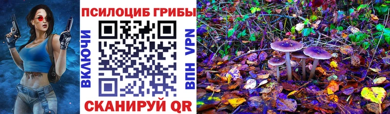 Галлюциногенные грибы прущие грибы  Сосновка 